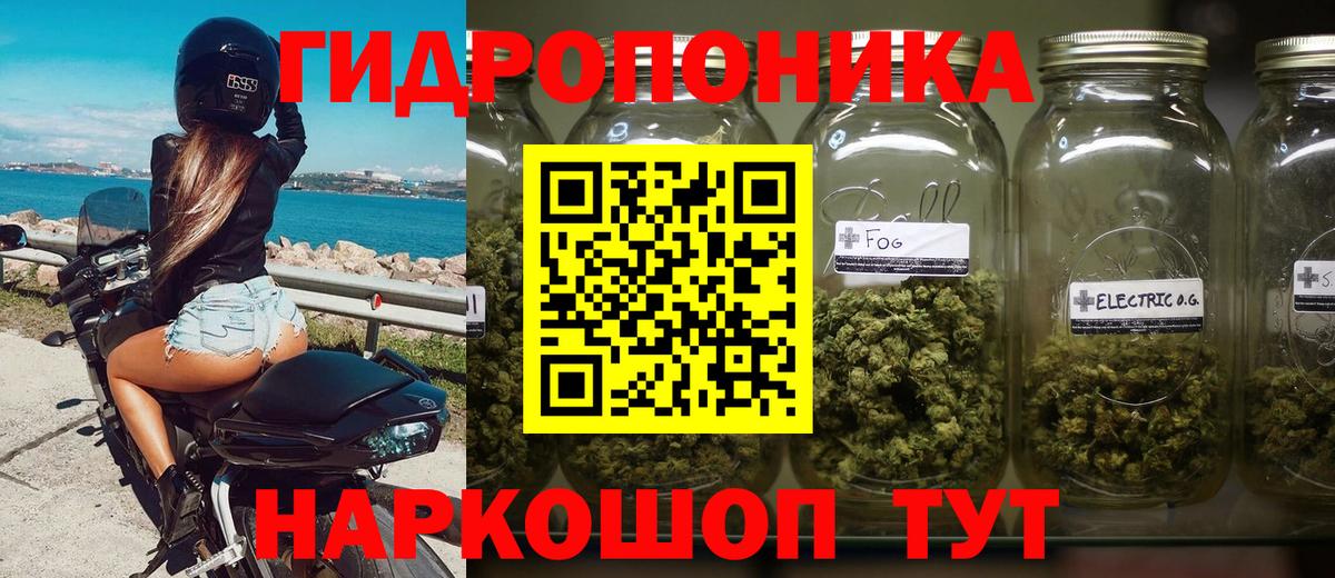 Бошки марихуана Amnesia Михайловка